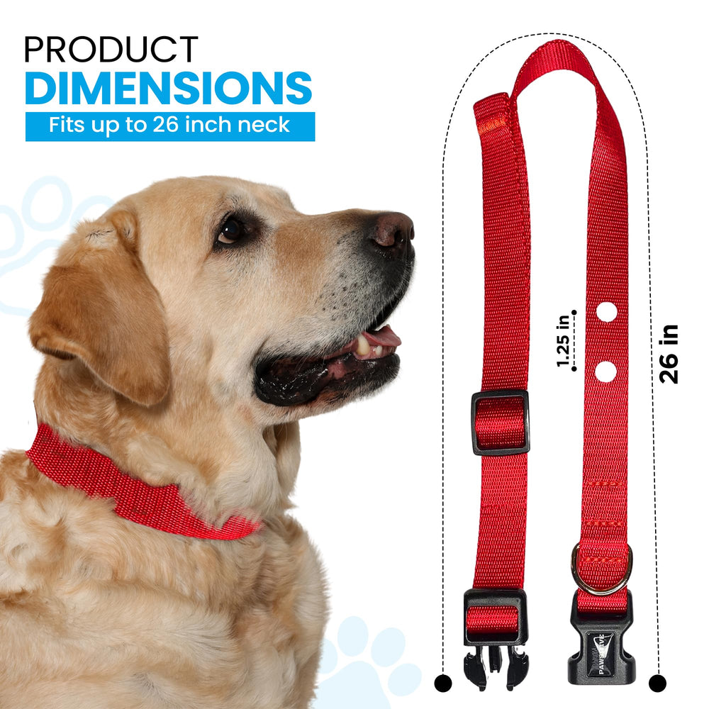 Gracie To The Rescue e-collar strap compatibility with Pet Safe and Invisible Fence