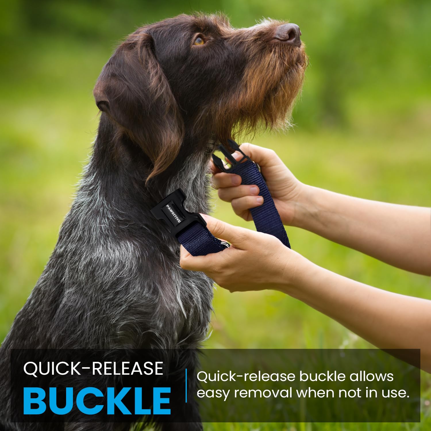 Gracie To The Rescue pink e-collar strap worn on a dog during routine
