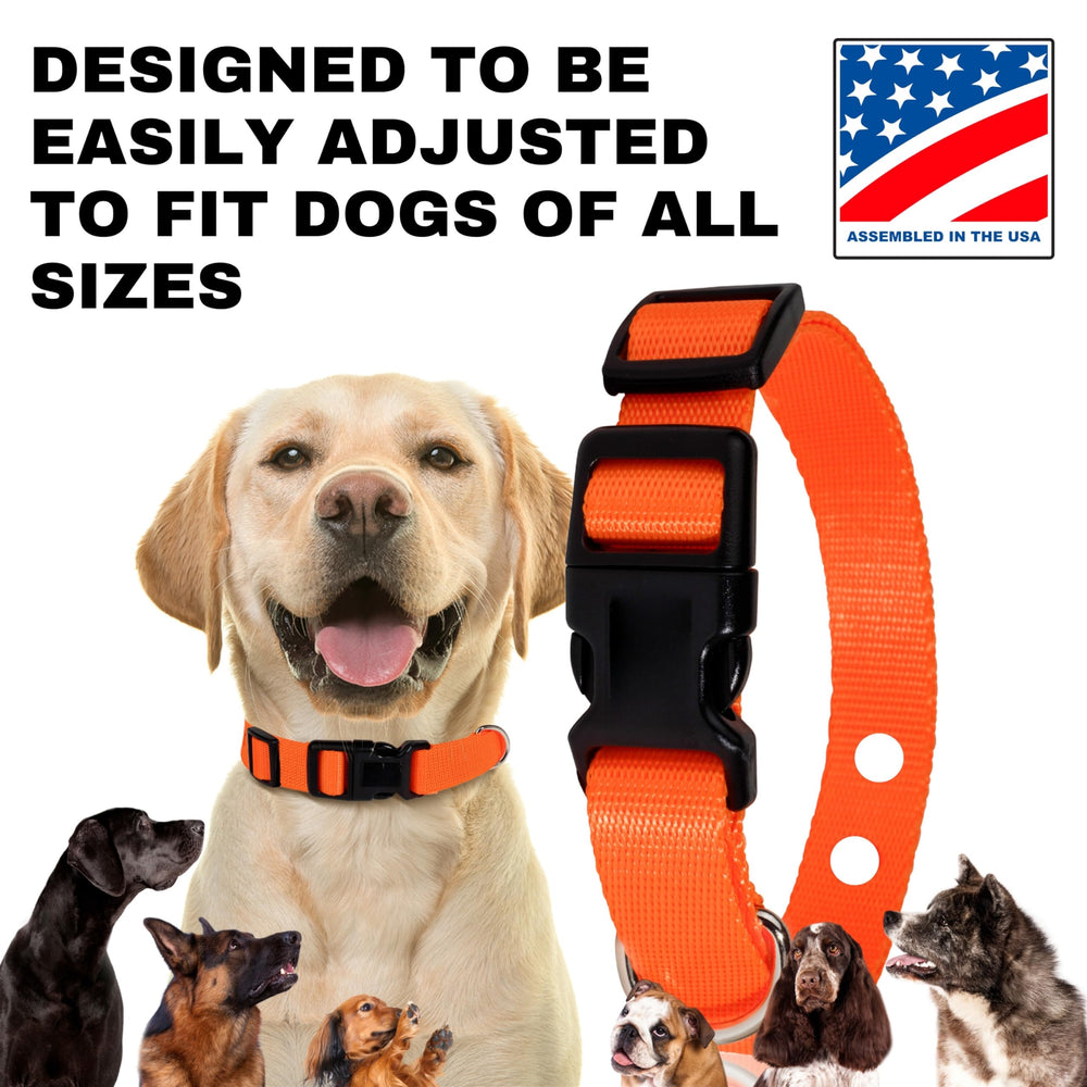 Gracie To The Rescue replacement strap highlighting durable material for long lasting use