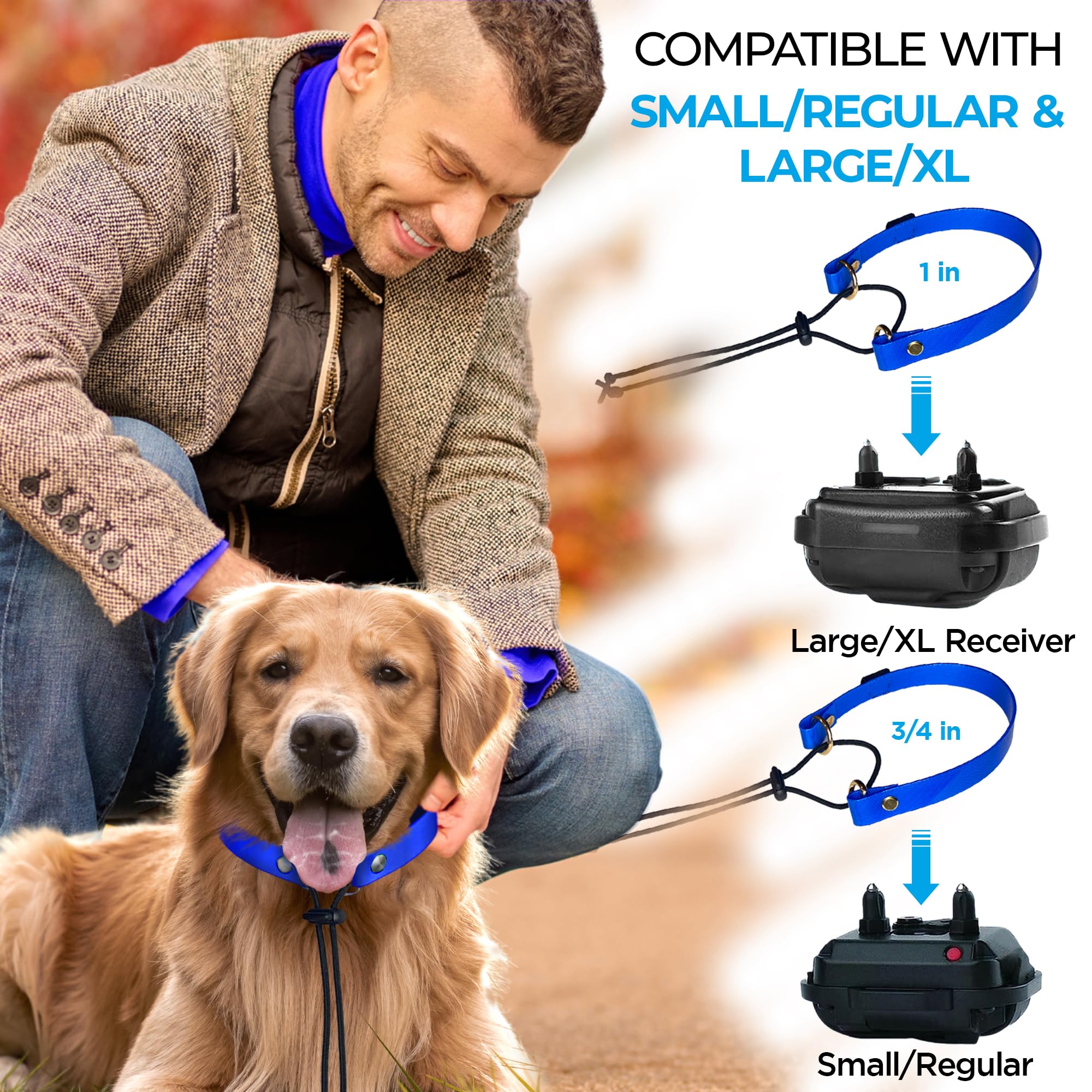 Gracie To The Rescue replacement strap 3/4 inch purple reveals versatile ecollar width option.
