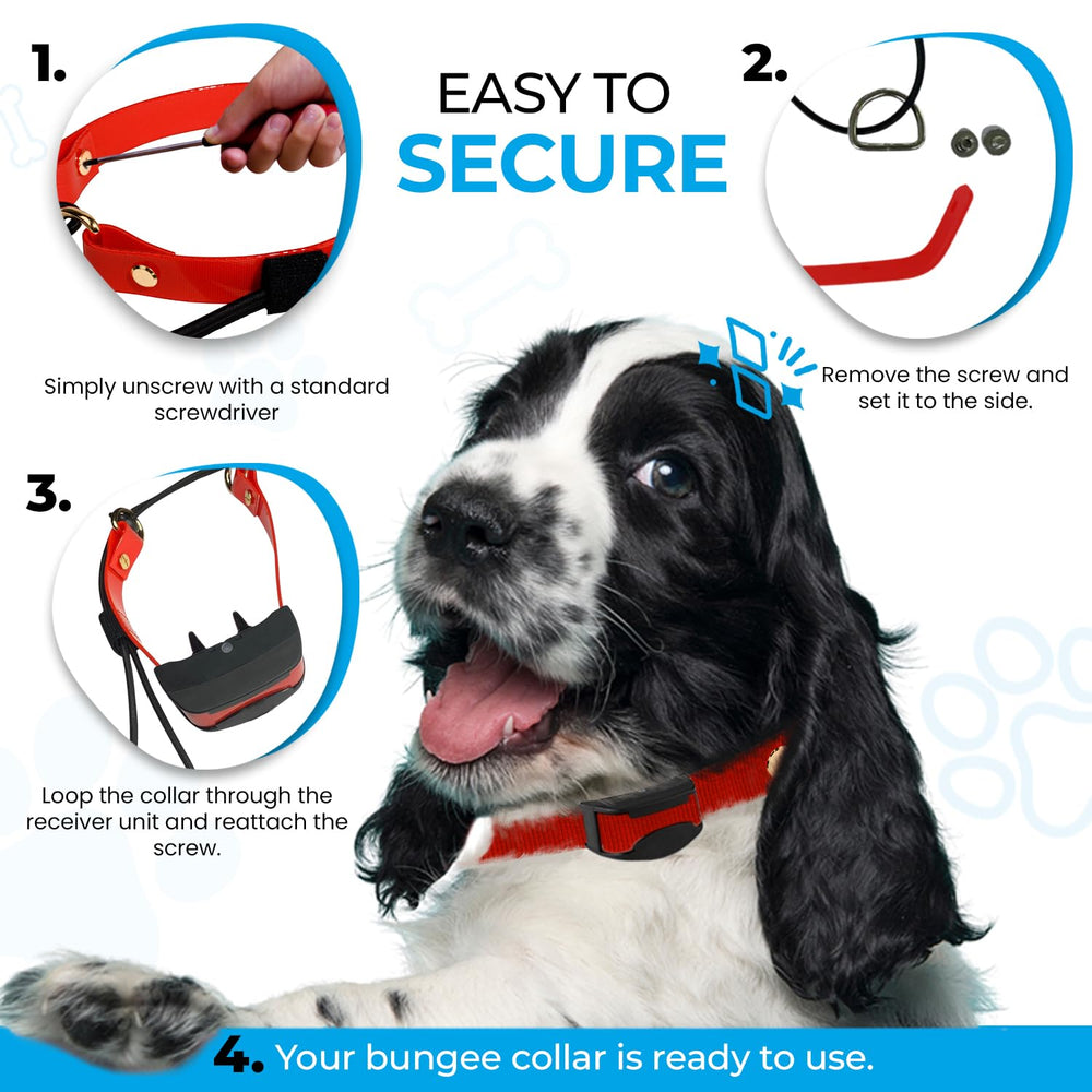 Gracie To The Rescue red 1in bungee strap demonstrates rugged durability for active dogs