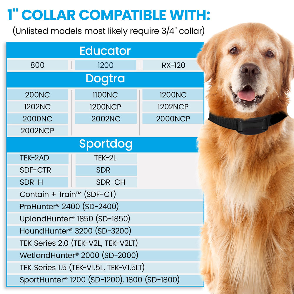 Gracie To The Rescue sportdog strap red 1in lifetime warranty gives peace of mind