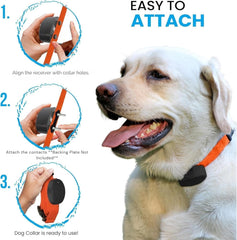 Gracie To The Rescue forest strap for Pet Safe and Invisible Fence compatibility