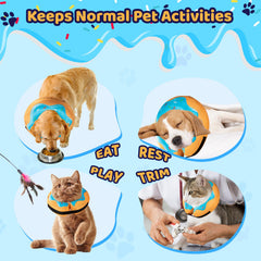 Grand Line donut inflatable collar blue worn by dog during post-surgery care