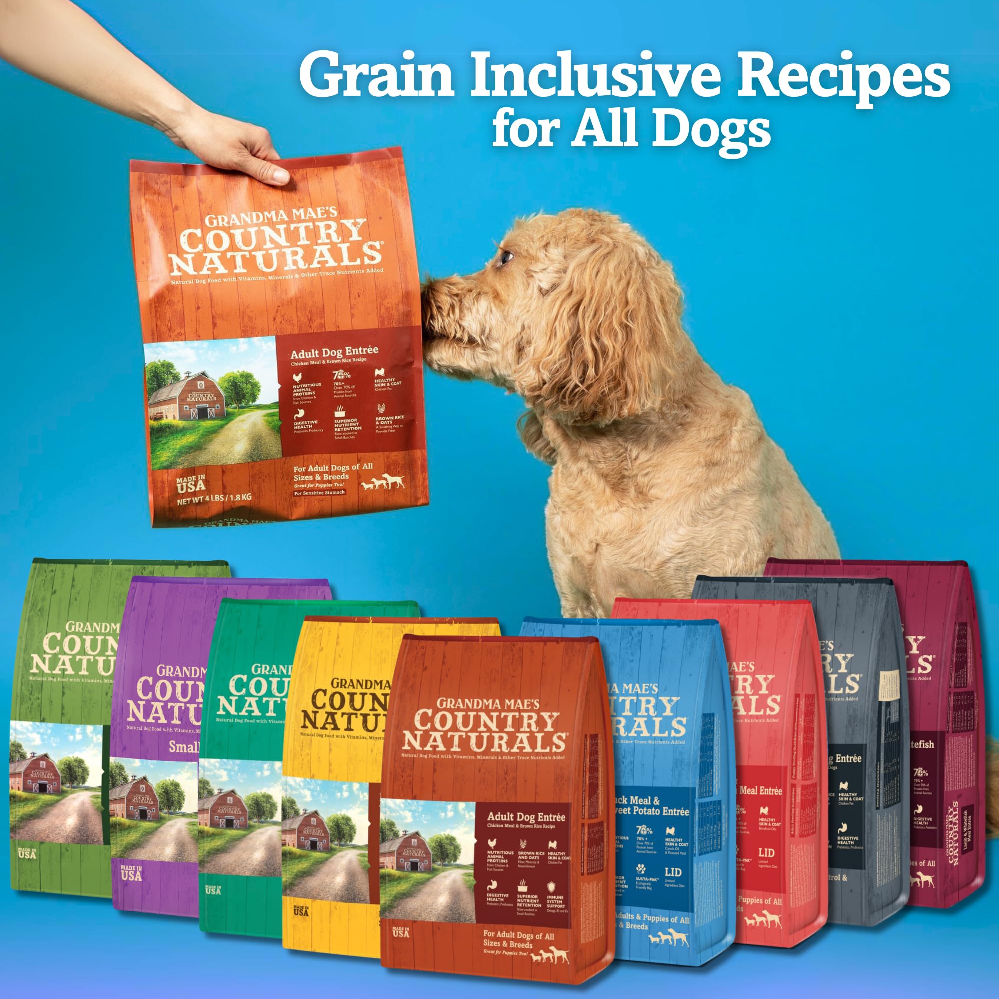 Grandma Mae's Large Breed kibble close-up highlighting real meat and wholesome grains for strong muscles