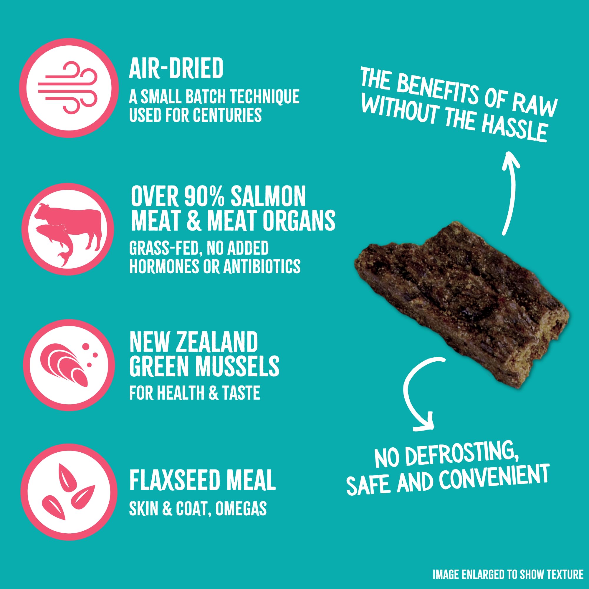 Grandma Mae's RawTernative salmon-beef chunk closeup highlights high-protein real meat