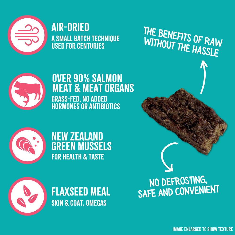 Grandma Mae's RawTernative salmon-beef chunk closeup highlights high-protein real meat