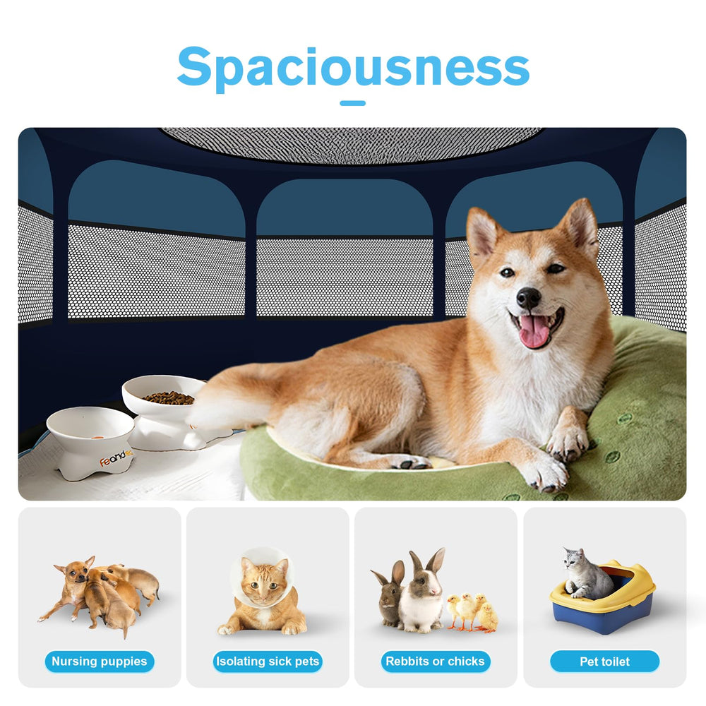 Grandtail eight-panel spacious design for ample pet space