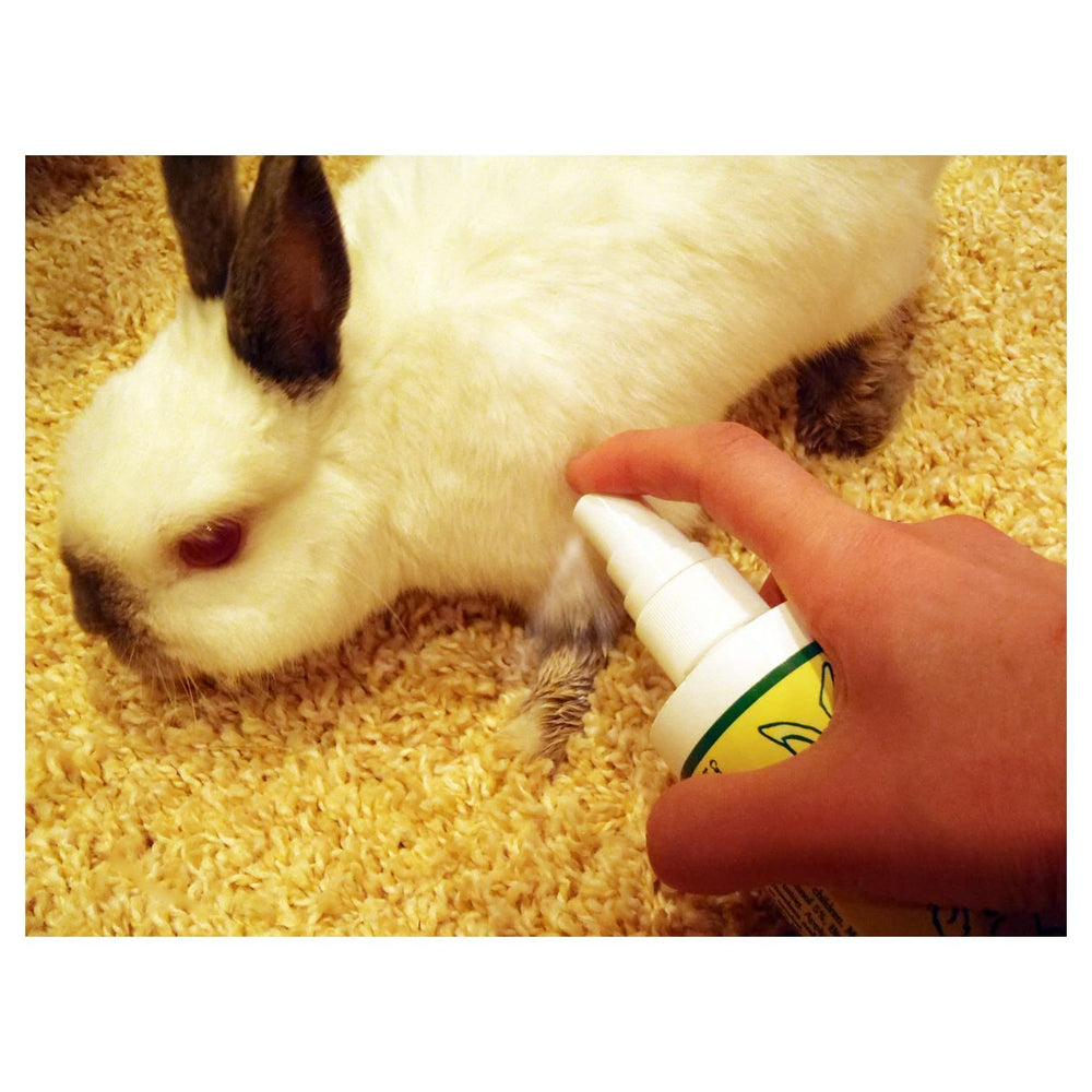 Grannick's Bitter Apple safety label emphasizes non-toxic, pet-safe use