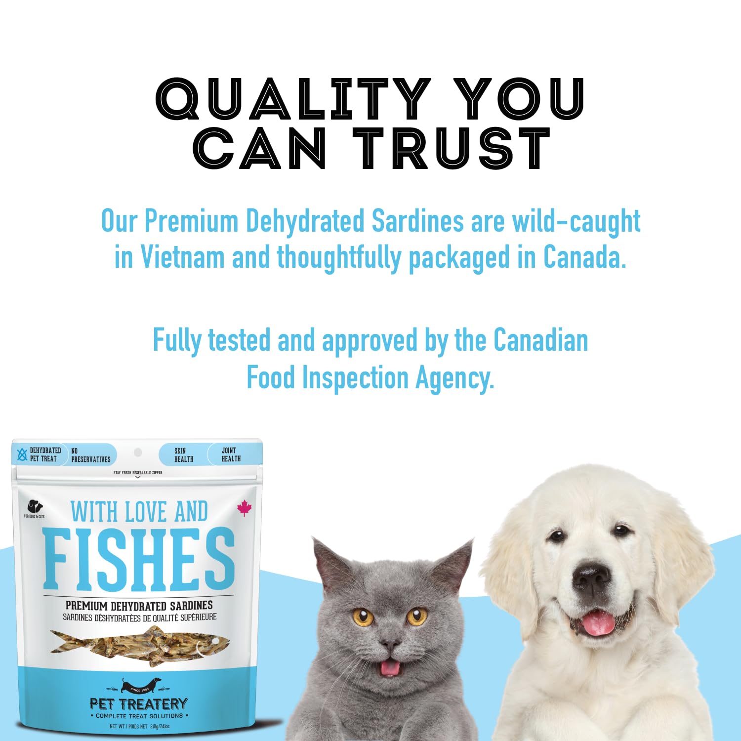 The Granville Island Pet Treatery dehydrated sardines appearance shows natural color and crunch
