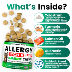 Grateful Pawz bottle pour highlights omega-3 rich chews for skin support