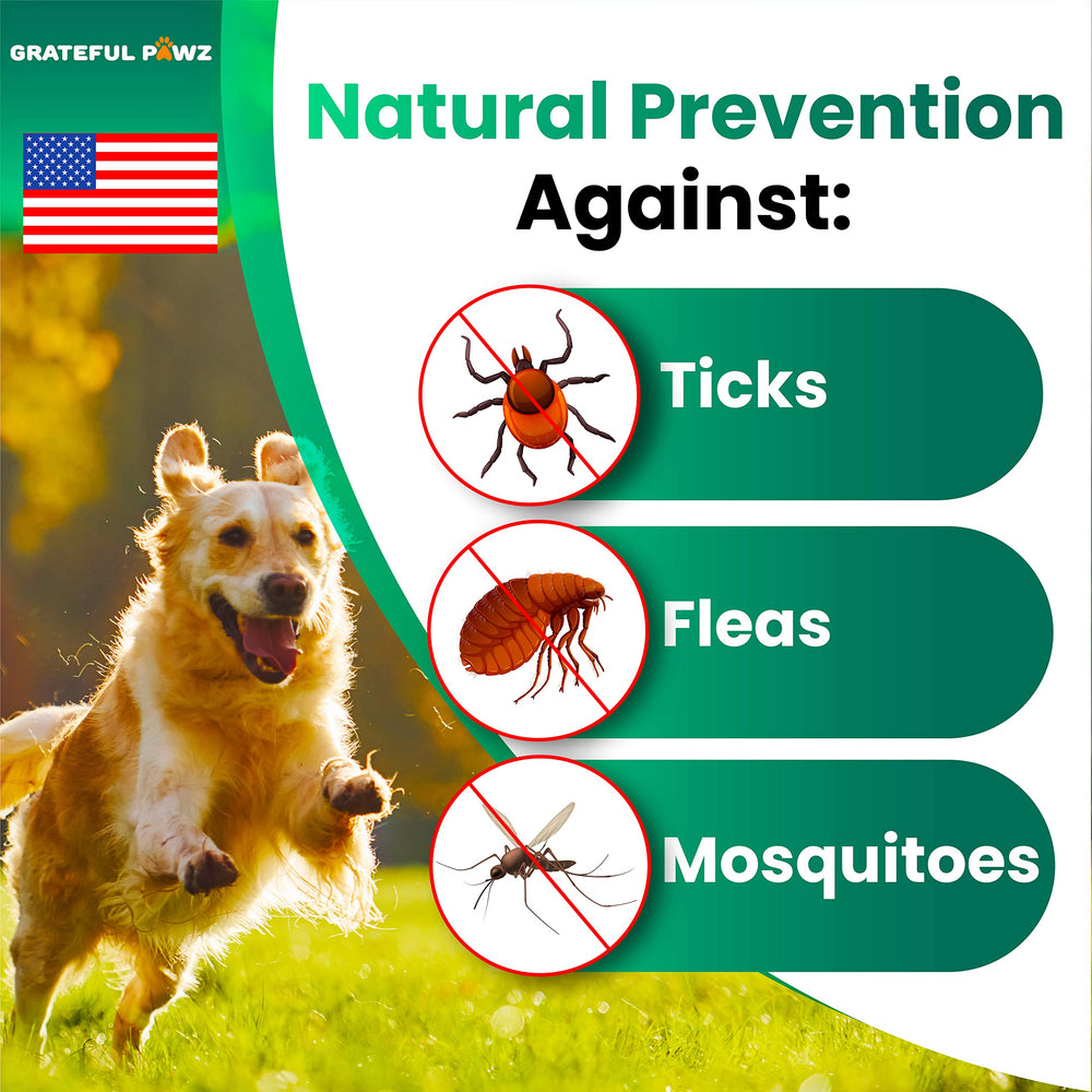 Grateful Pawz chewable tablets closeup illustrating tasty daily protection for dogs
