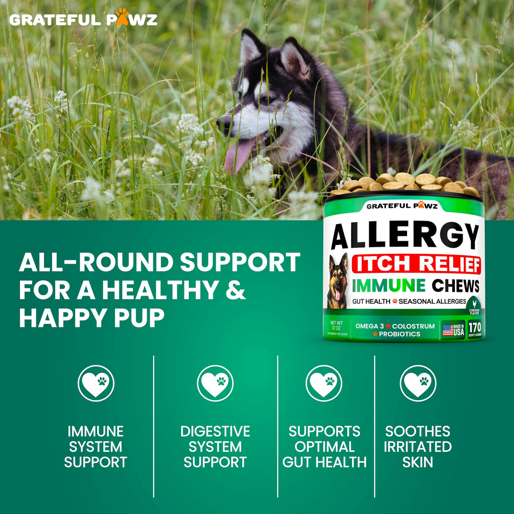 Grateful Pawz coat healthy shine image hints at shinier coat