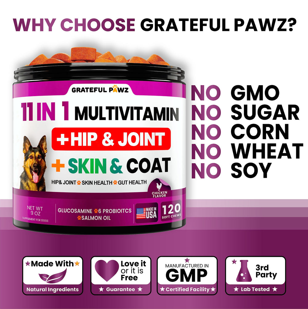 Grateful Pawz digestive-health-guts chews support gut health and nutrient delivery