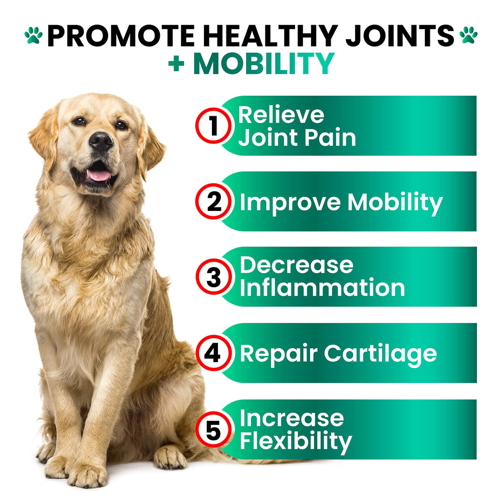 Grateful Pawz dog joint chews bag front highlighting tasty support for joints