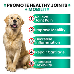 Grateful Pawz dog joint chews bag front highlighting tasty support for joints
