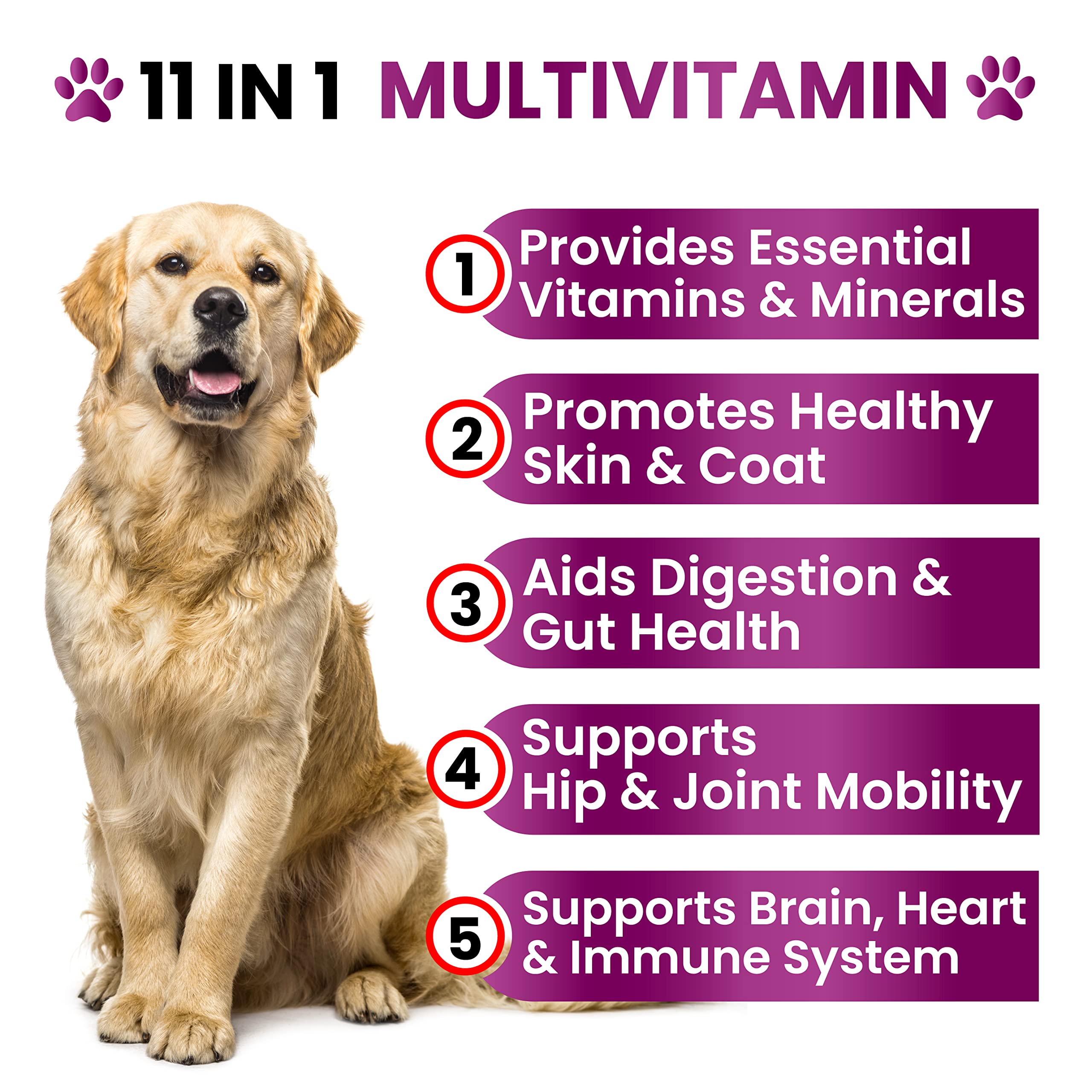 Grateful Pawz dog multivitamin chewable soft-chew showing palatable daily option