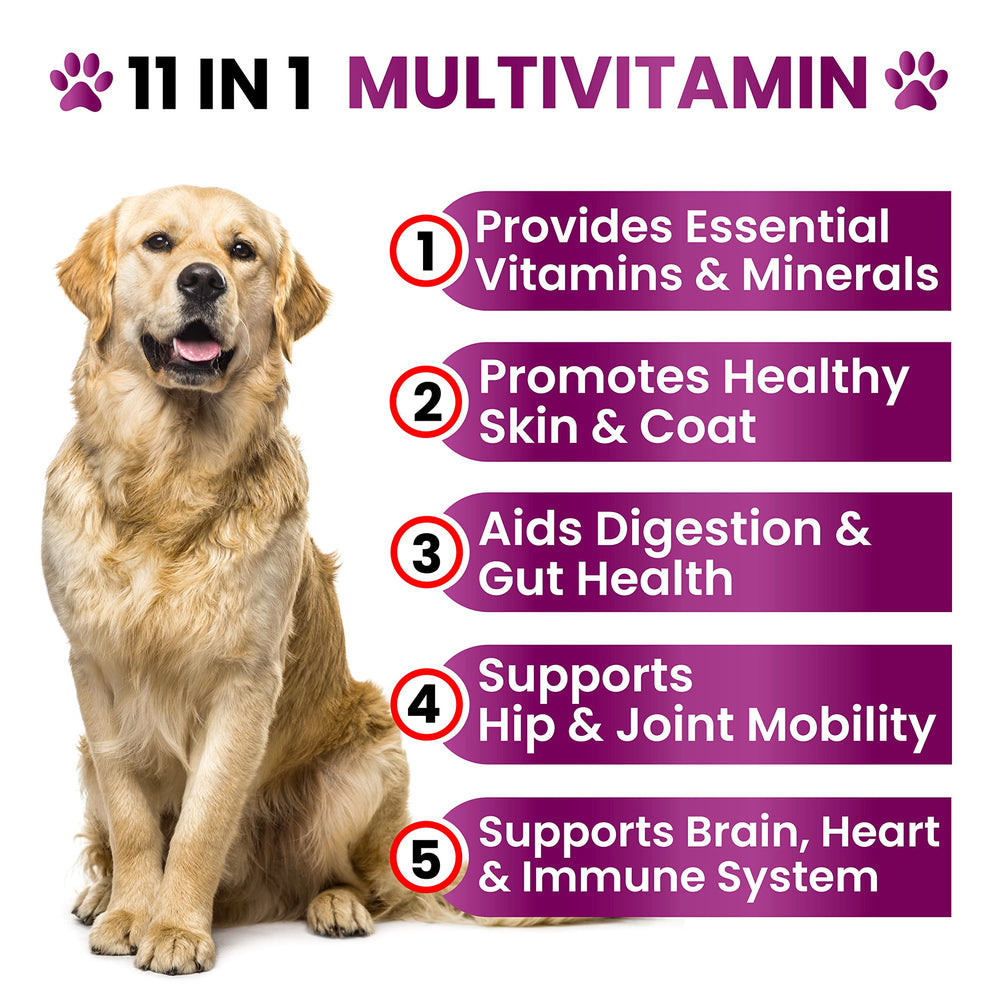 Grateful Pawz dog multivitamin chewable soft-chew showing palatable daily option