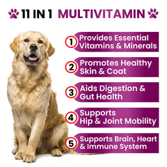 Grateful Pawz dog multivitamin chewable soft-chew showing palatable daily option