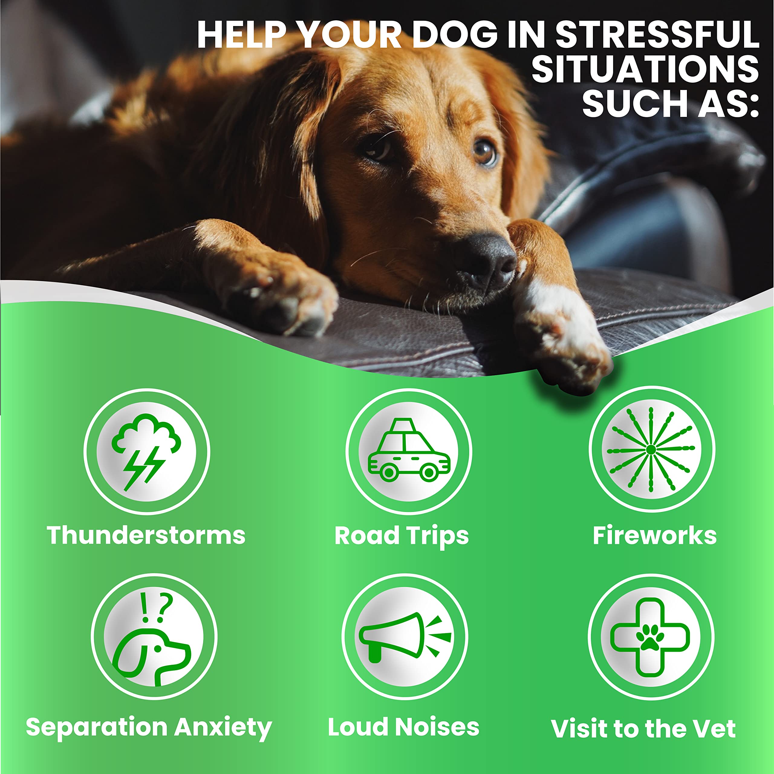 Grateful Pawz dog relaxing scene with treats illustrating improved composure