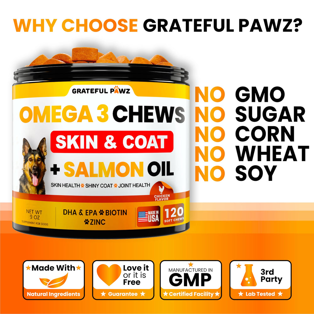Grateful Pawz joint health dog supplement chews promoting mobility and comfort