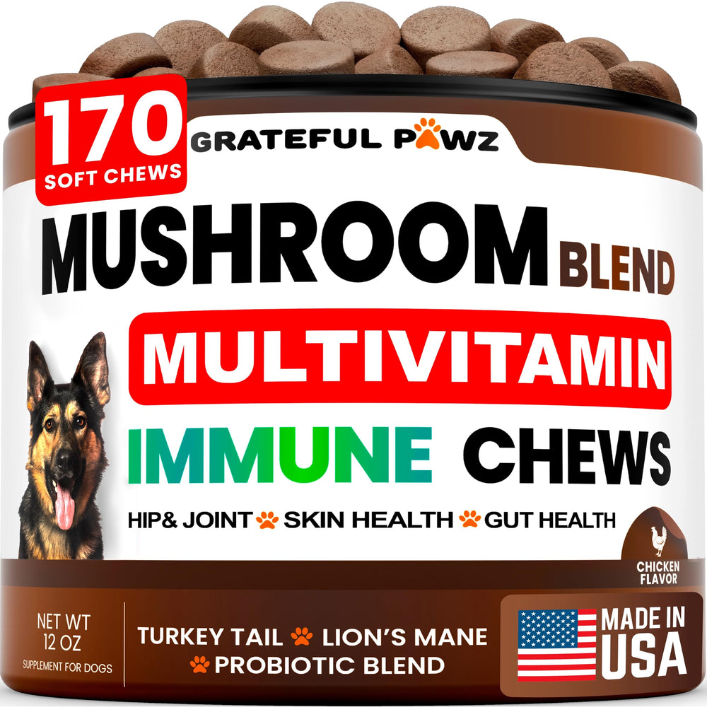 Grateful Pawz Turkey Tail dog chews bottle shows immune-supporting supplement in actionable packaging.