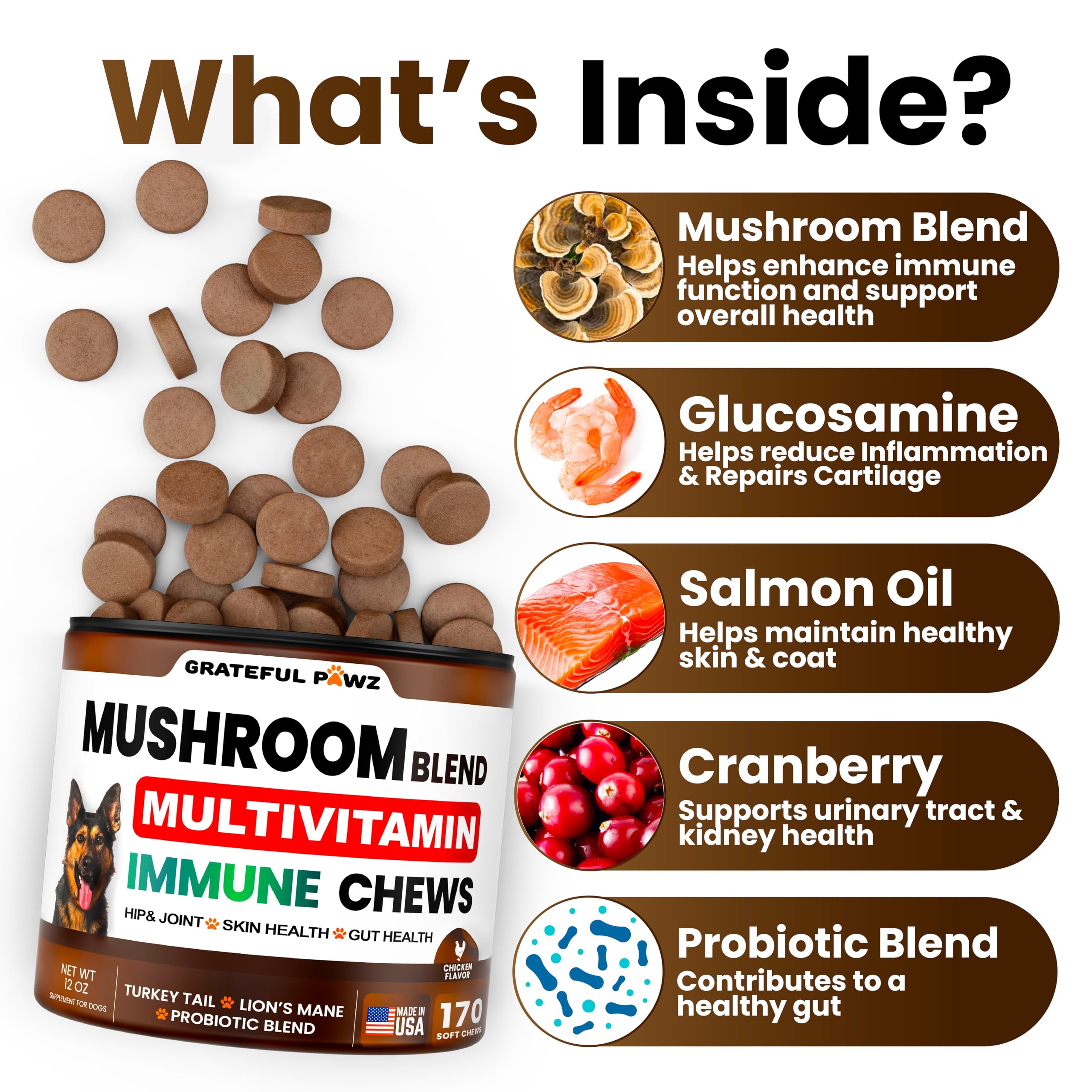 Grateful Pawz Turkey Tail dog chews closeup highlights tasty texture and daily vitality support.