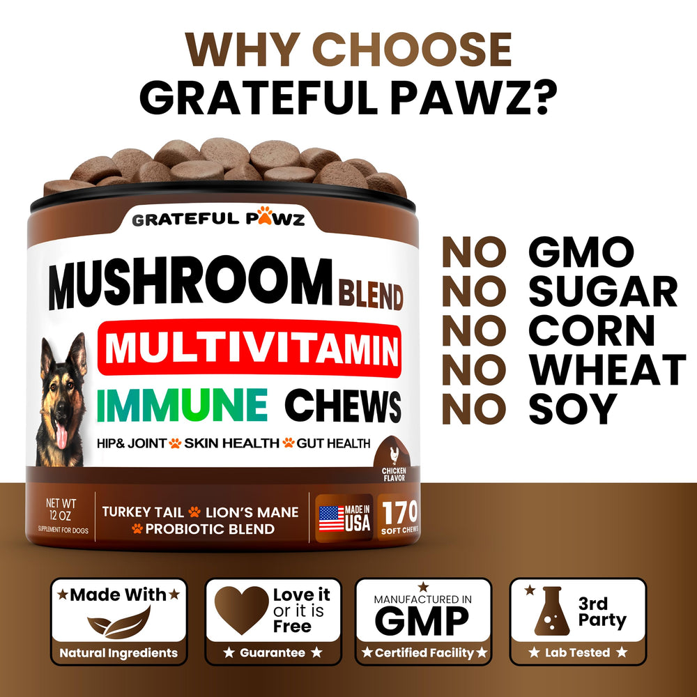 Grateful Pawz hip and joint dog chew image suggests mobility support.