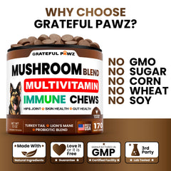 Grateful Pawz hip and joint dog chew image suggests mobility support.