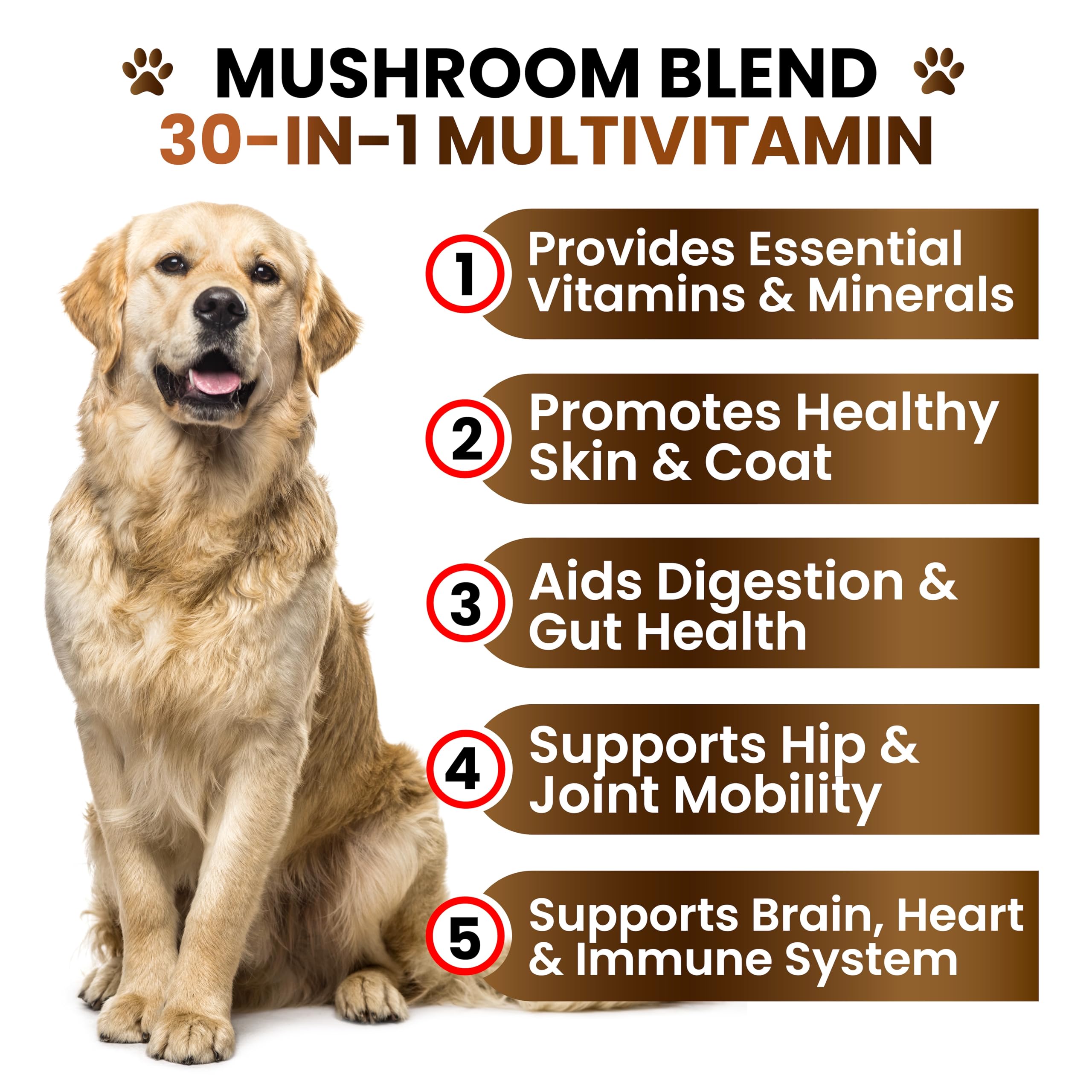 Grateful Pawz turkey tail dog ingredients mushrooms closeup emphasizes variety for immune and gut wellness.