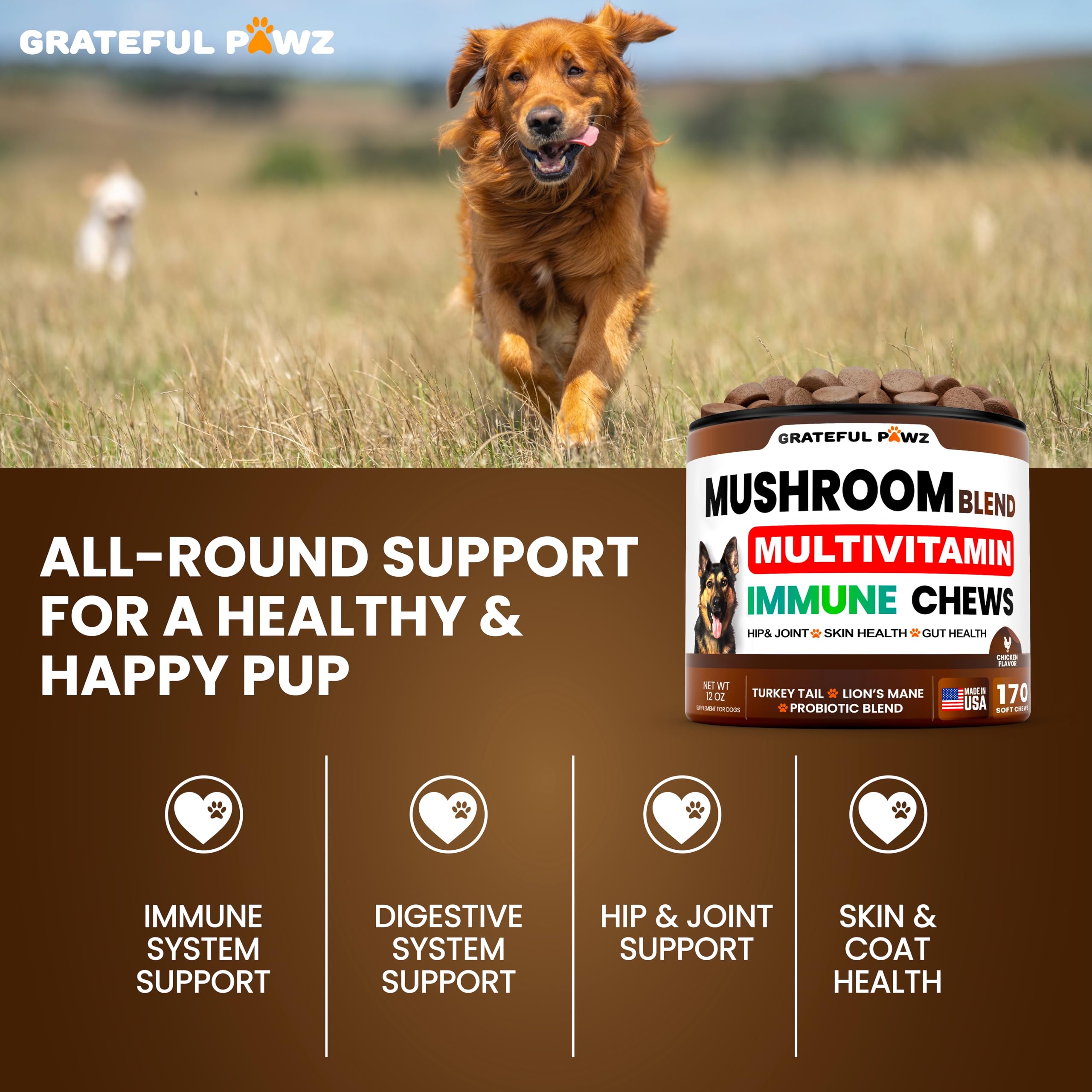 Grateful Pawz skin and coat image showcases antioxidant-rich formula for shiny fur.