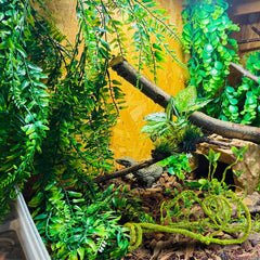 Grddaef reptile habitat decor creates immersive 3-D layouts.