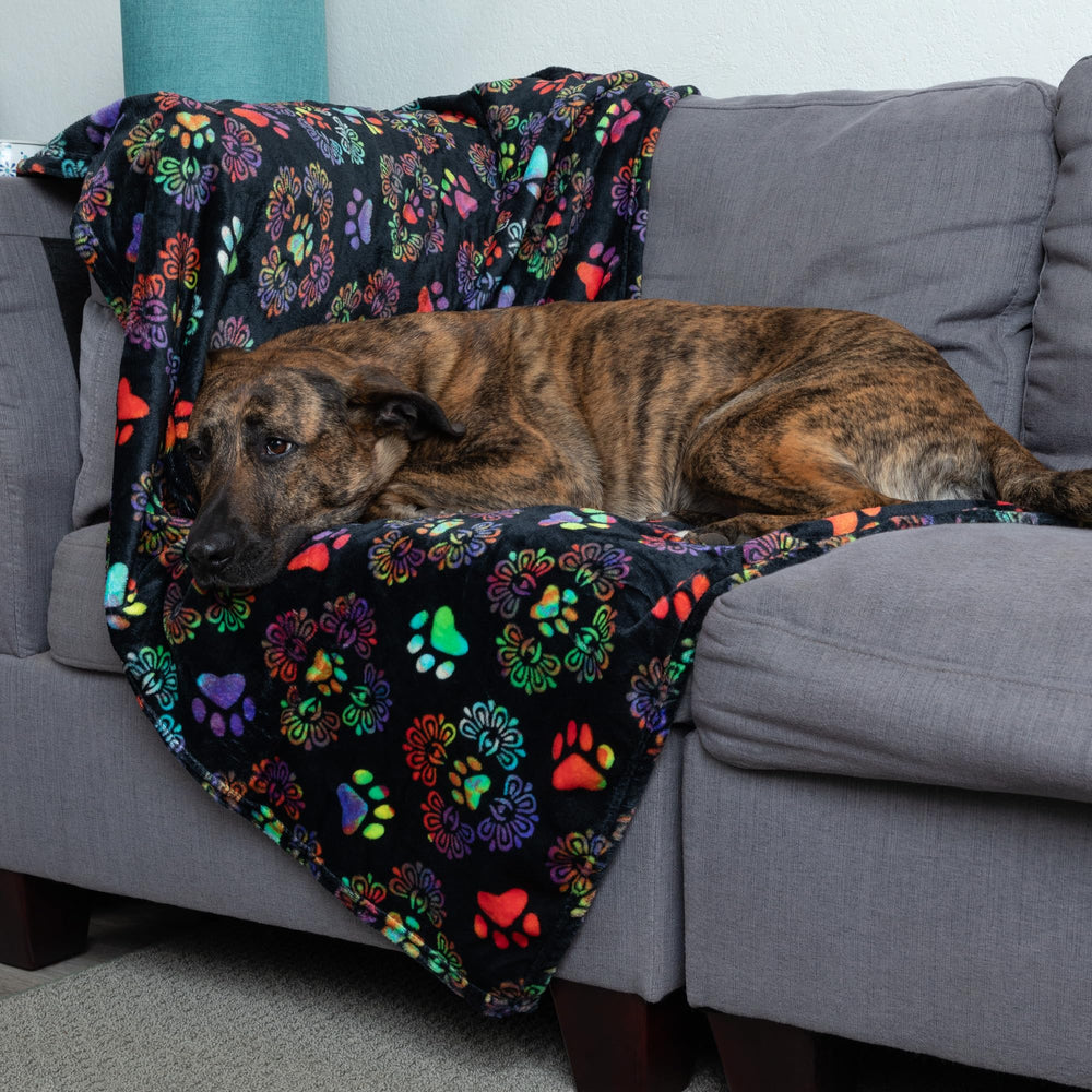 GreaterGood buffalo-check purple design adds stylish flair to any pet area.