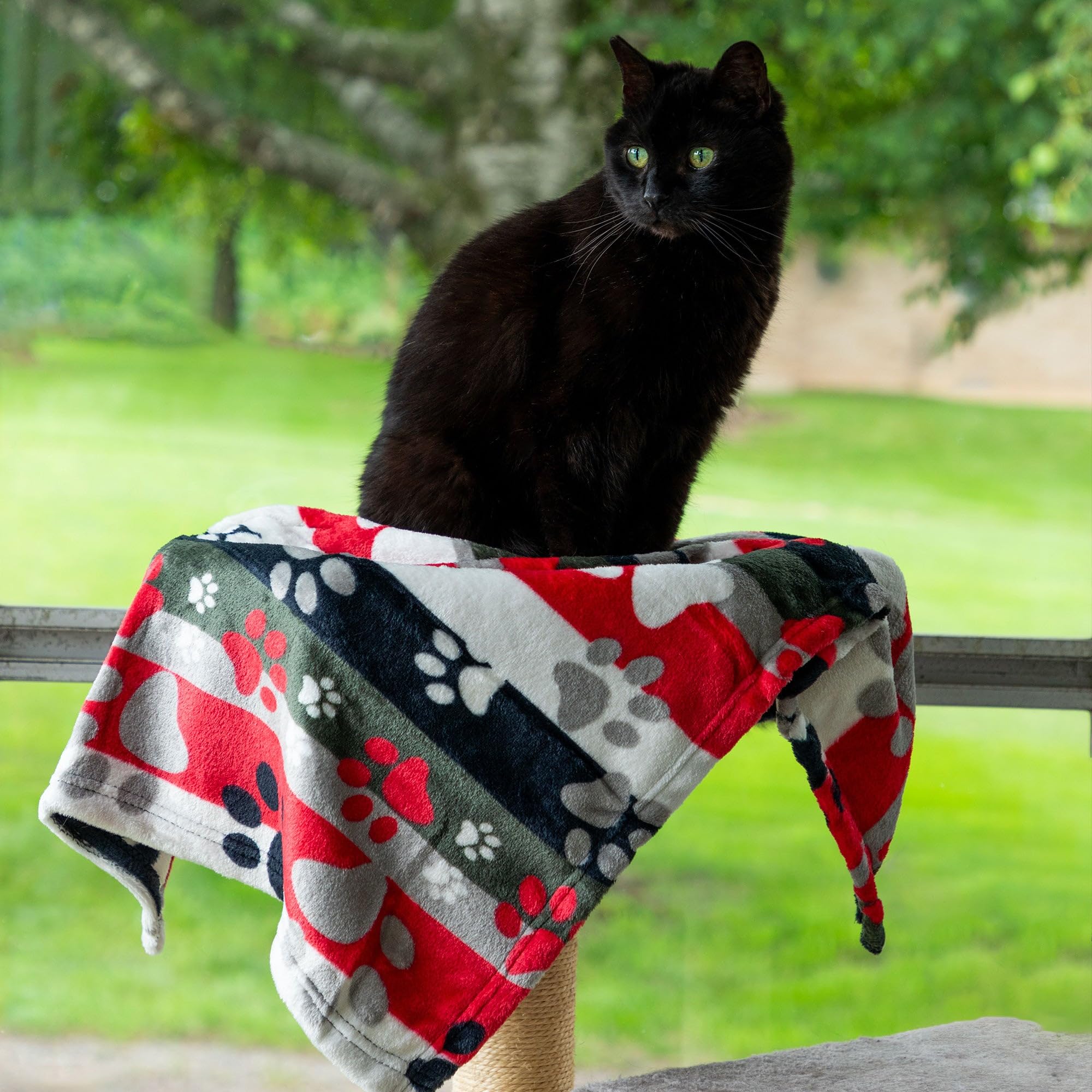GreaterGood pet blanket large-size coverage provides ample warmth for bigger pets.