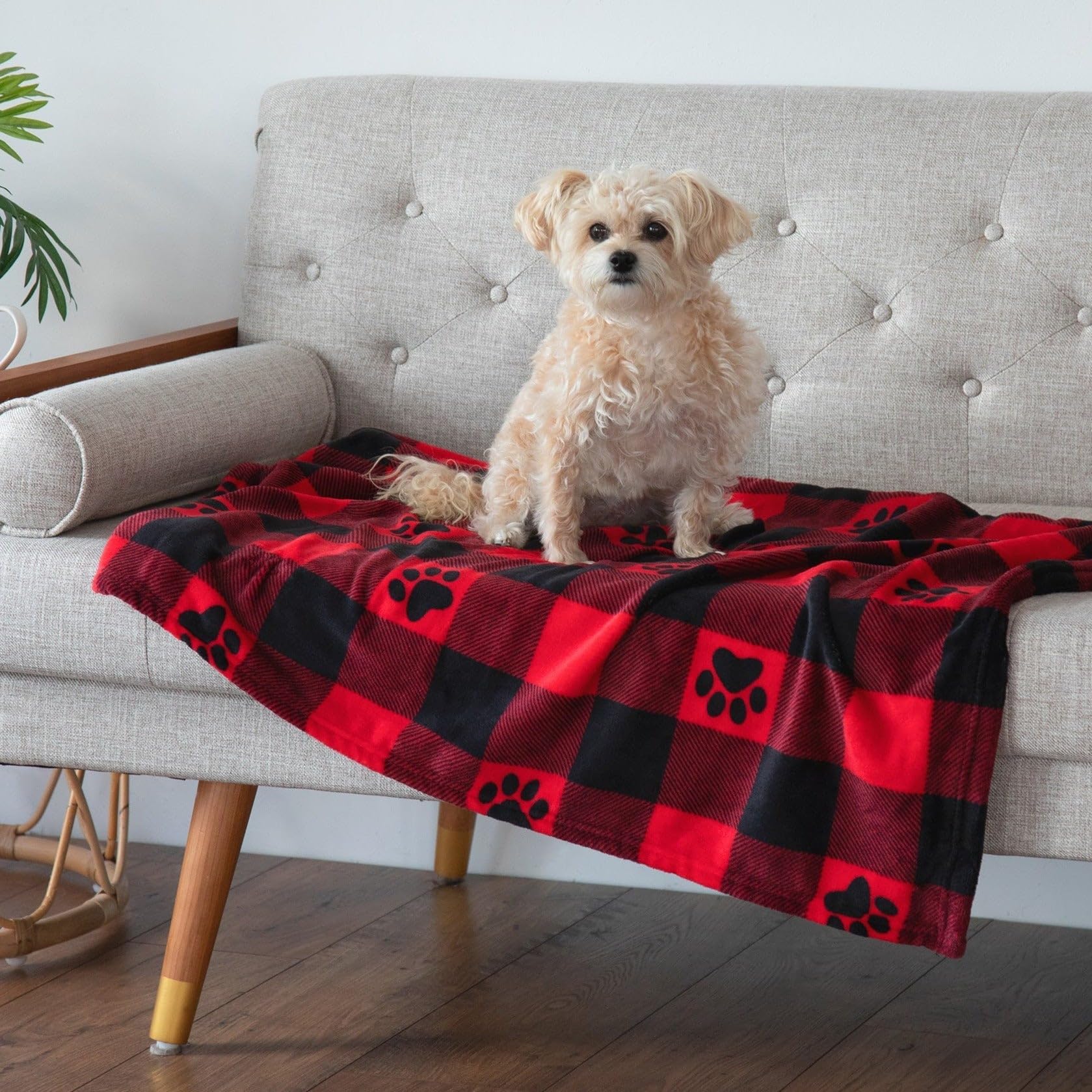 GreaterGood pet blanket paw print crate-scene highlights a secure, comforting nap spot.