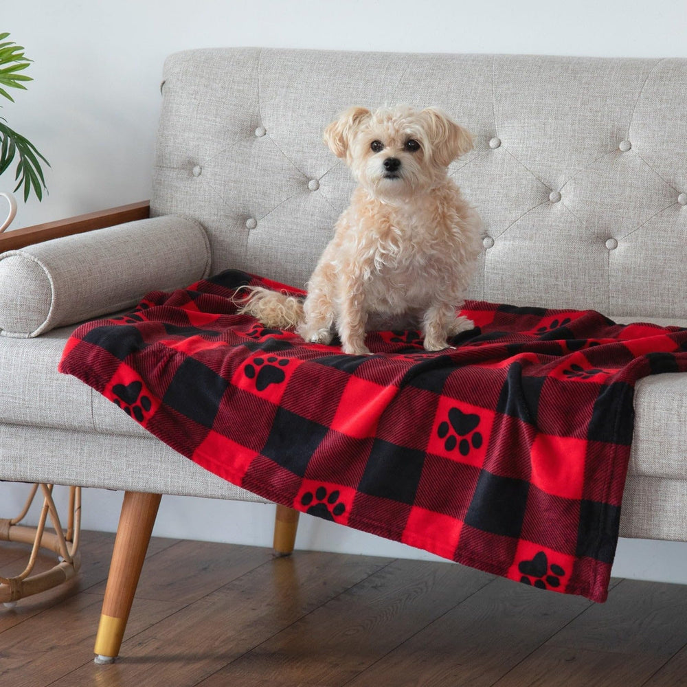 GreaterGood pet blanket paw print crate-scene highlights a secure, comforting nap spot.