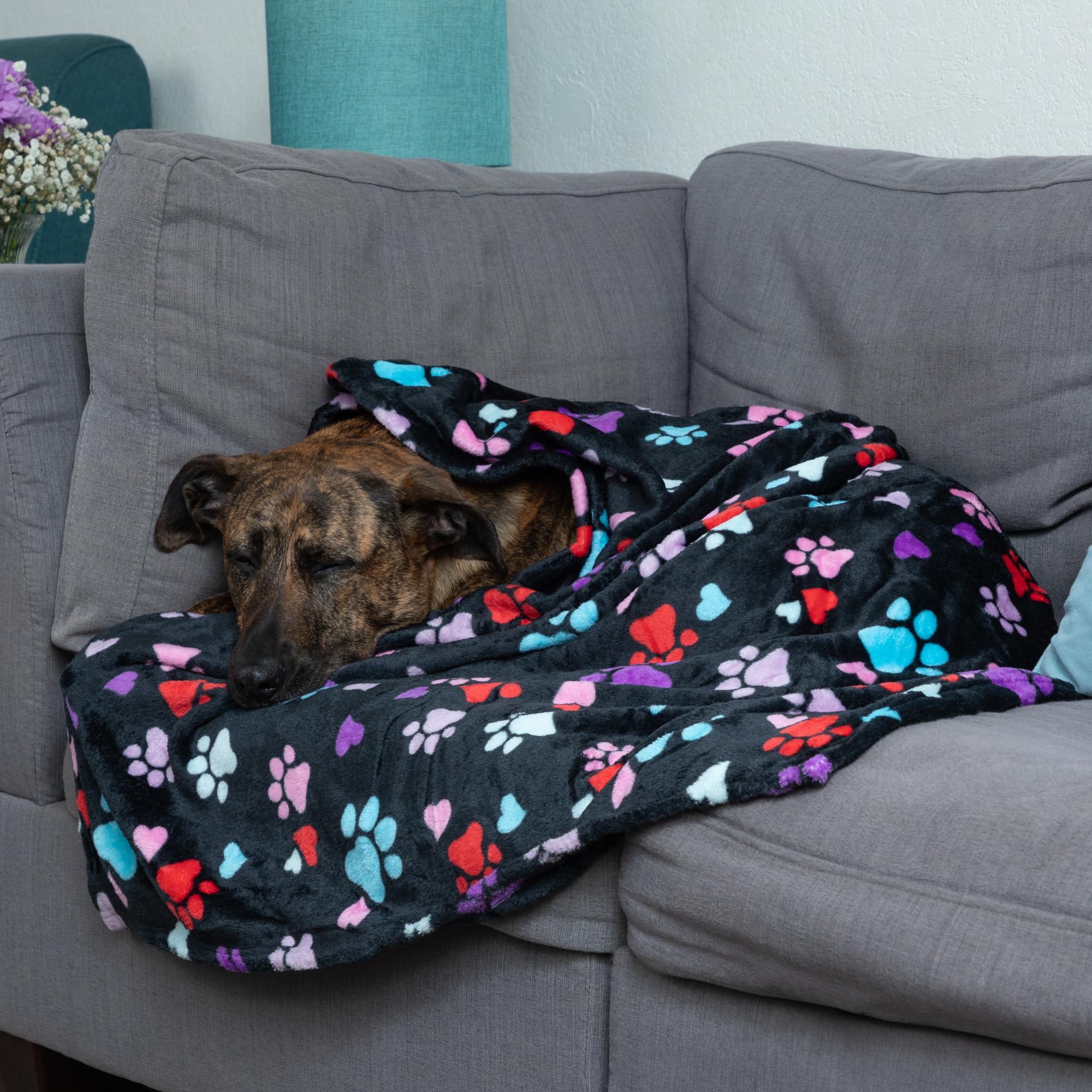 GreaterGood blanket on sofa or bed-foot creates a familiar nook for pets.