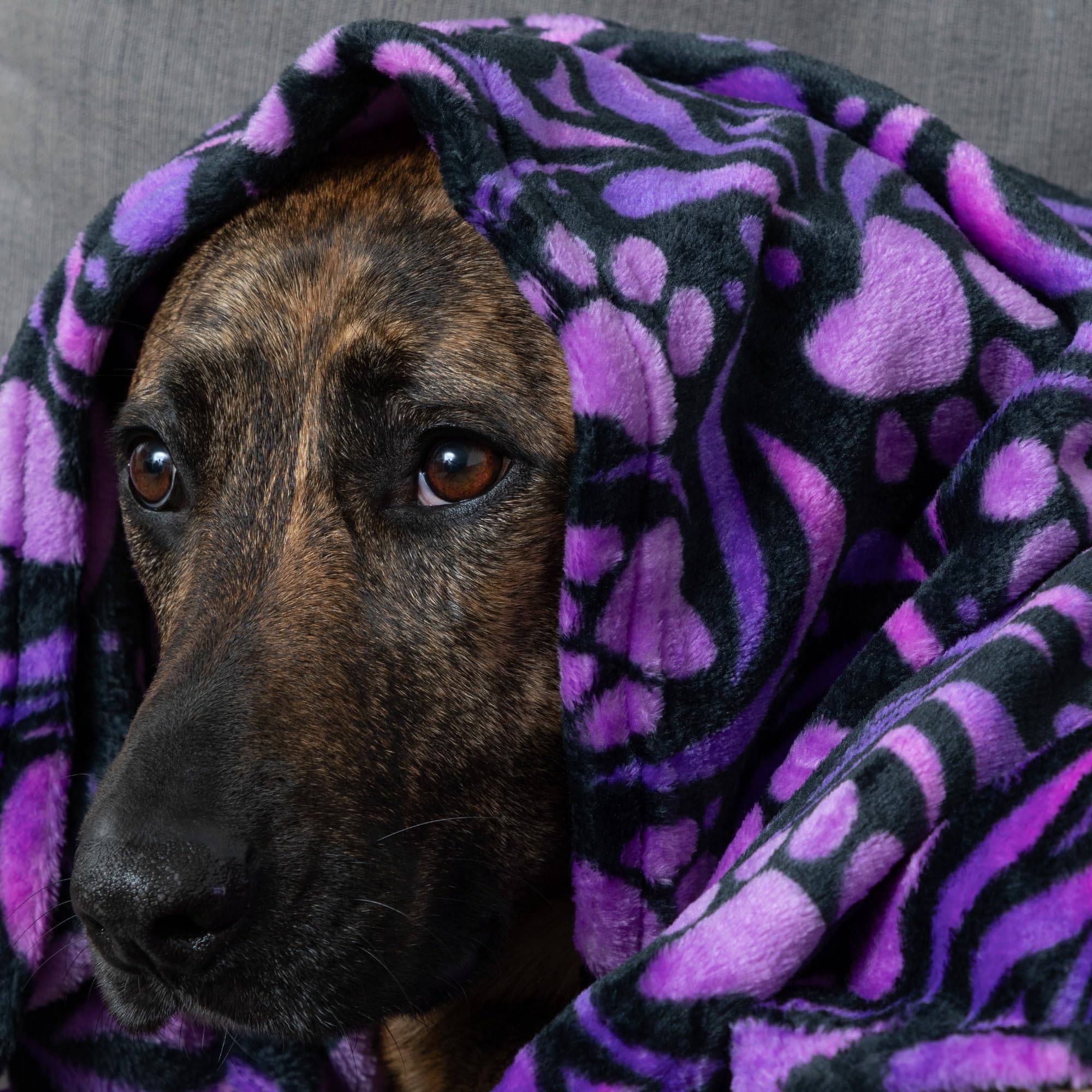 GreaterGood pet-blanket for car travel offers cozy warmth on drives.