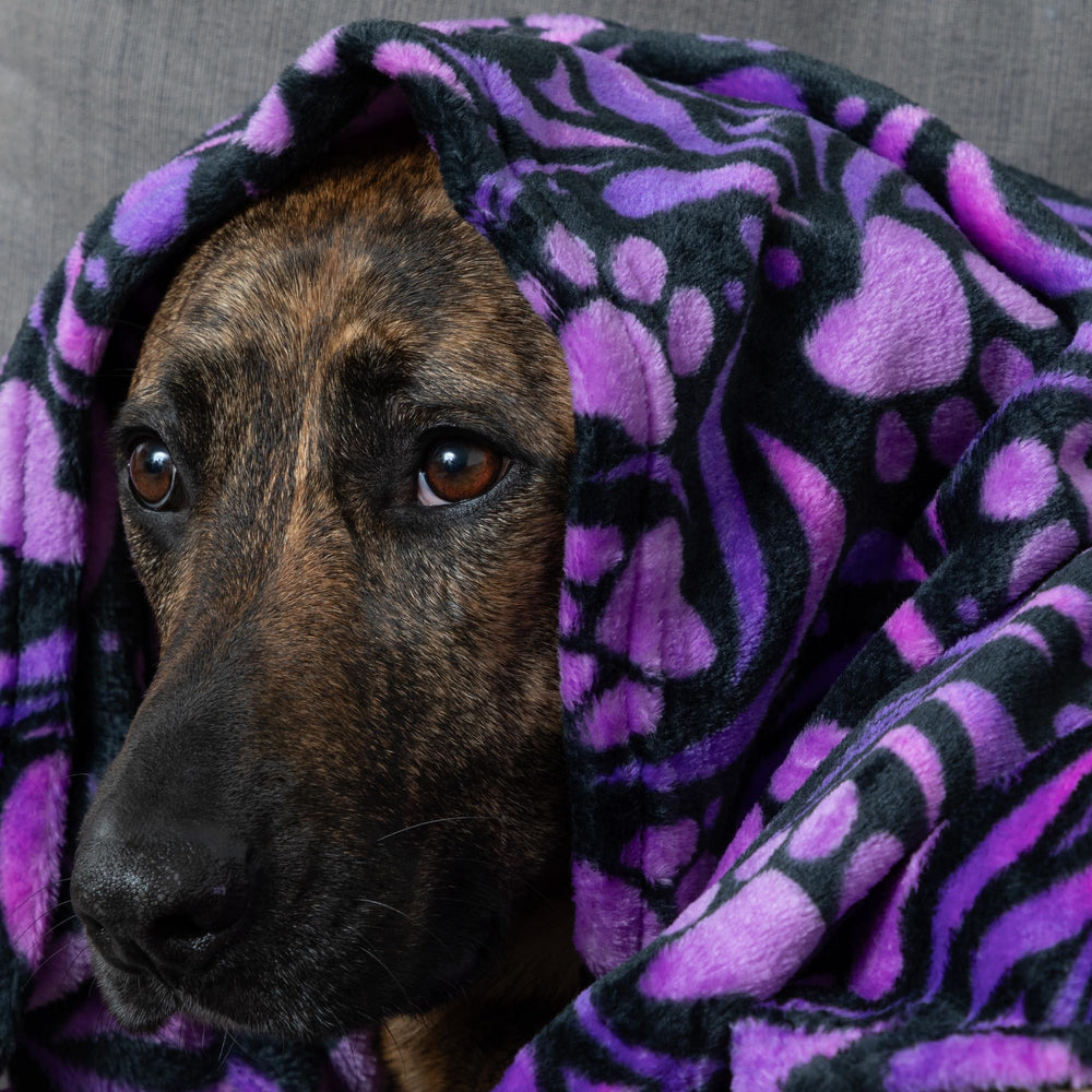 GreaterGood pet-blanket for car travel offers cozy warmth on drives.