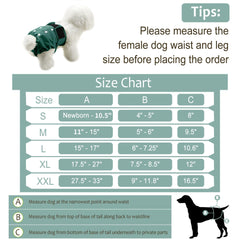 Grecle adjustable snaps and hook-loop image demonstrates customizable, secure fit for different dogs.