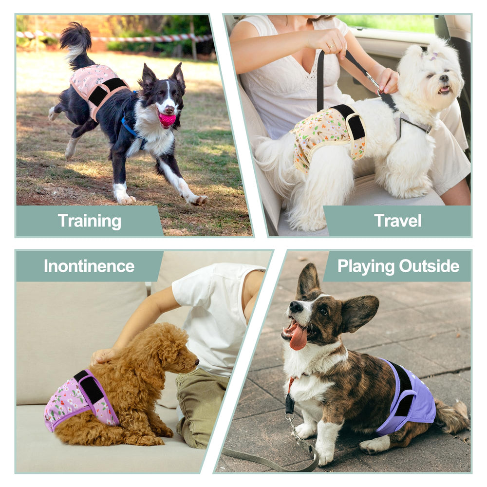 Grecle five-pack with flower design for stylish, practical pet care