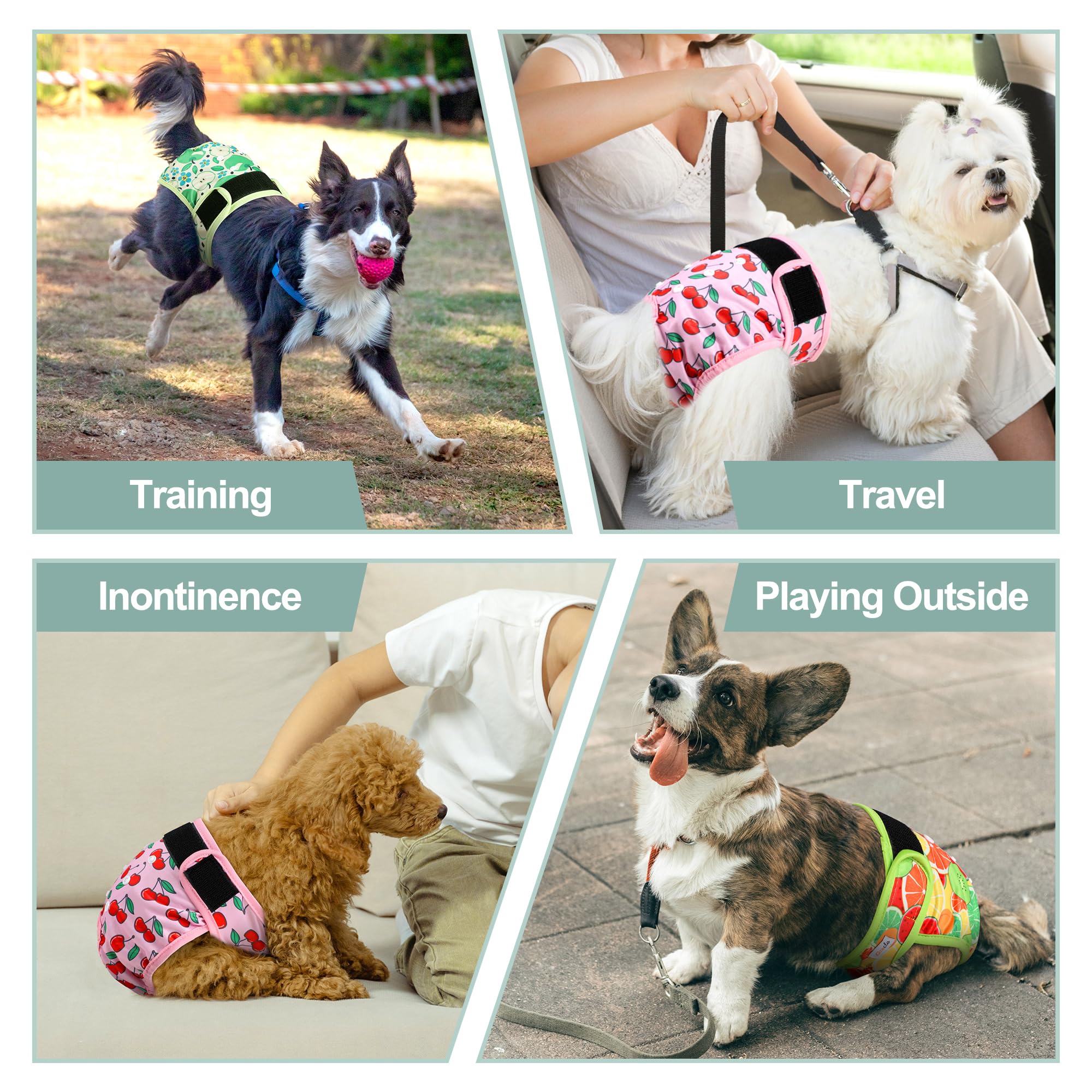 Grecle dog diapers for heat and accidents provide convenient protection.