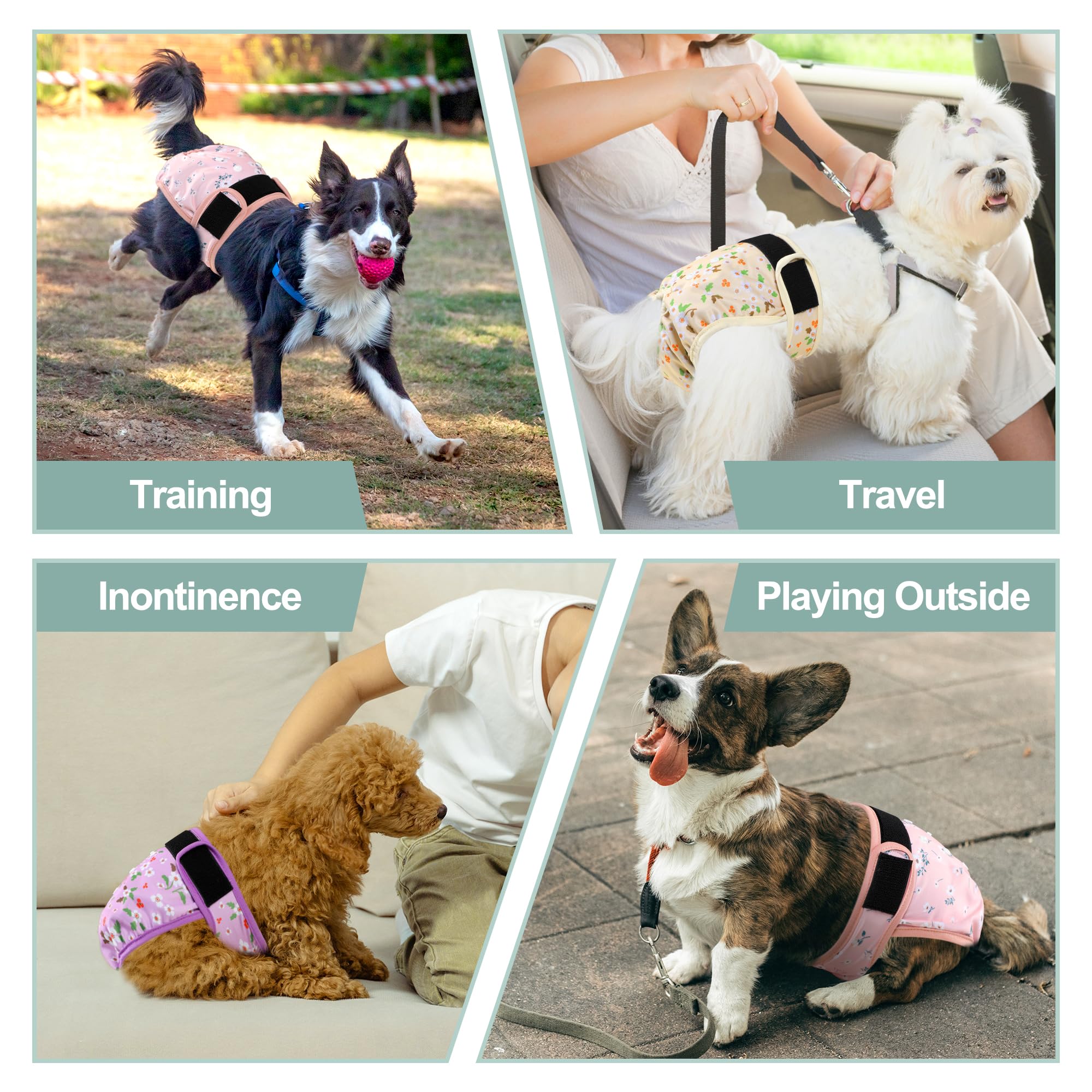 Grecle flowers diaper on senior dog supports comfortable wear during heat.