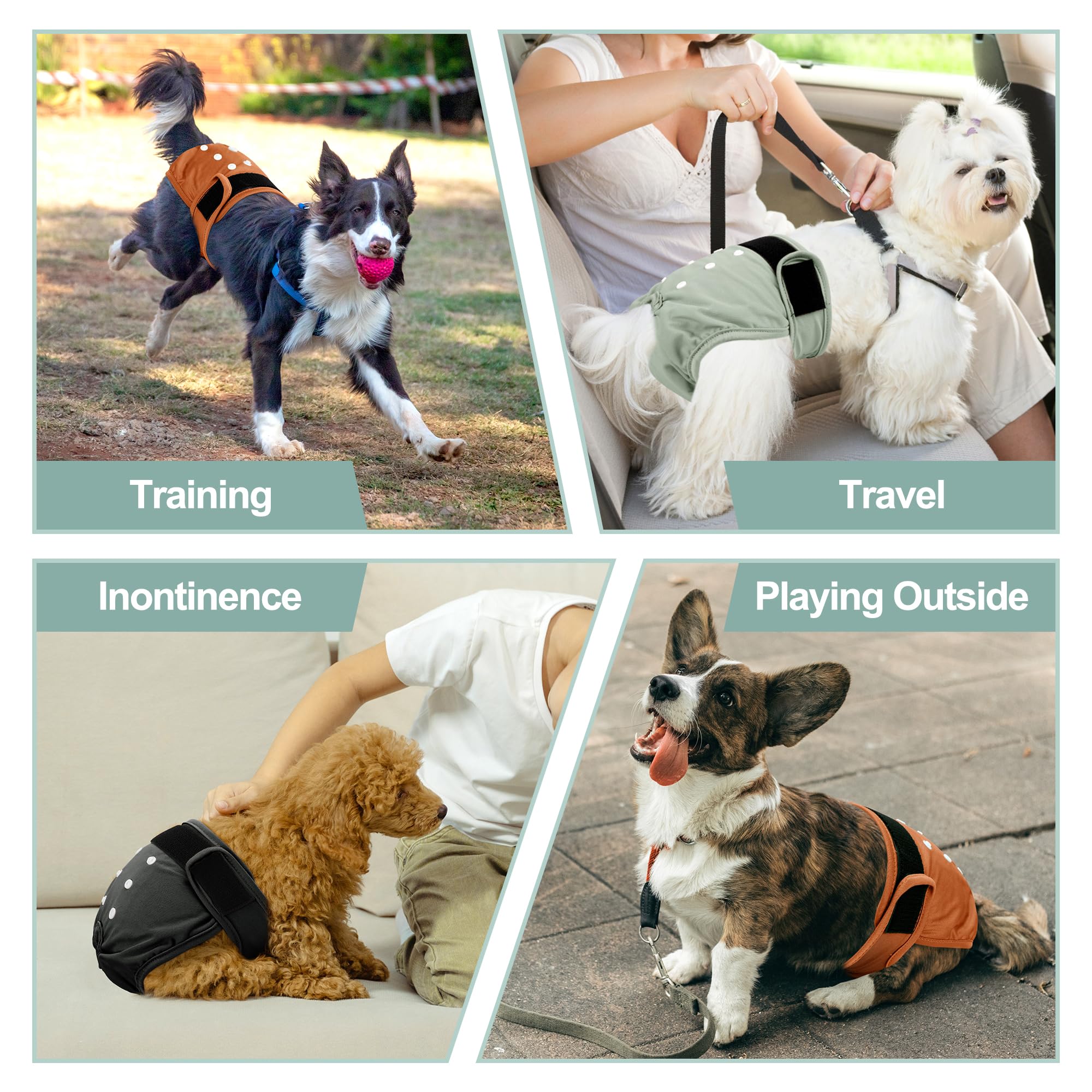 Grecle dog diapers in heat help during cycles with dignified coverage.
