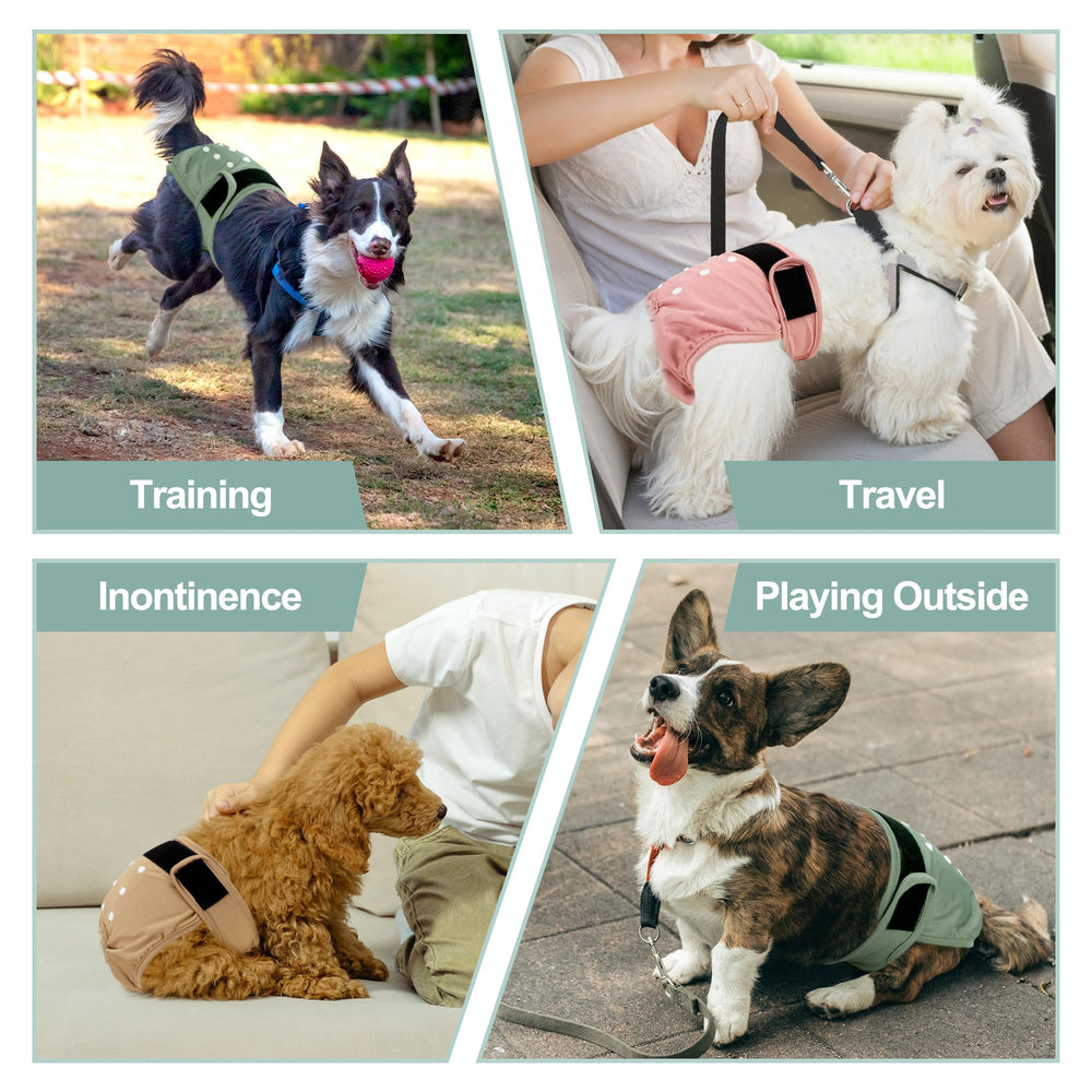 Grecle in-use image shows dog wearing diaper for day-to-day protection.
