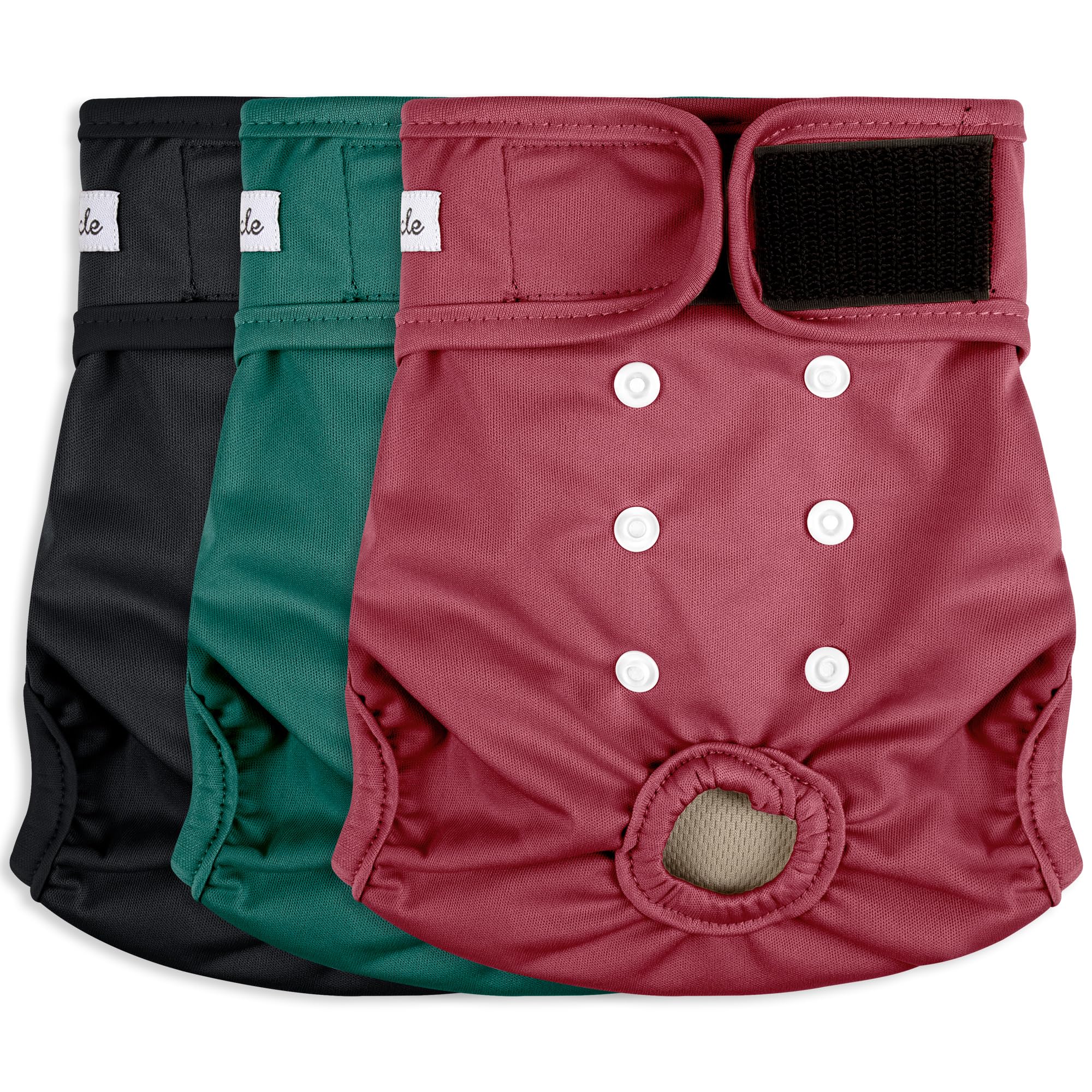 Grecle dog diapers pack front shows secure, adjustable fit for everyday wear.
