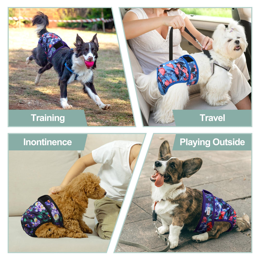 Grecle dog diapers washable and reusable for daily wear.