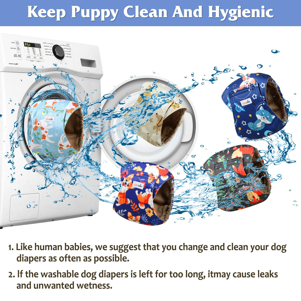 Grecle ideal for training, travel, and daily wear for male dogs