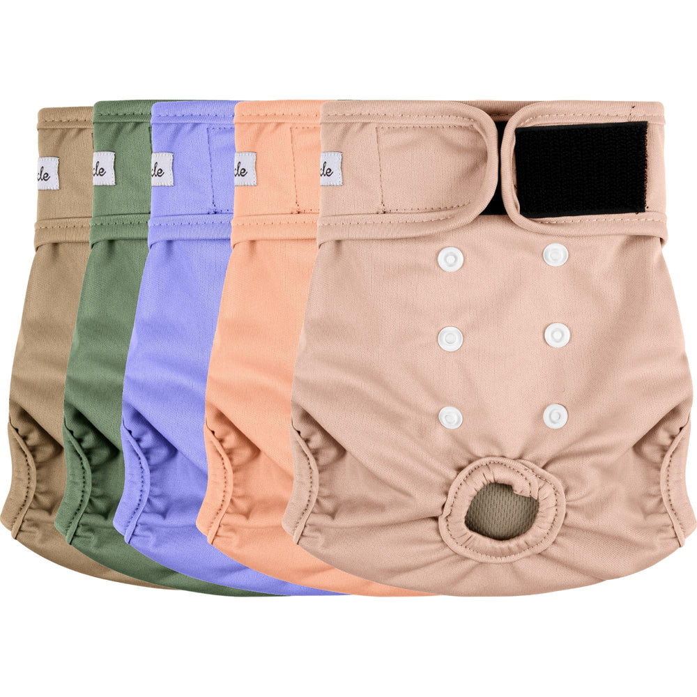 Grecle female dog diapers 5pcs pack showing tidy packaging for easy restocking.