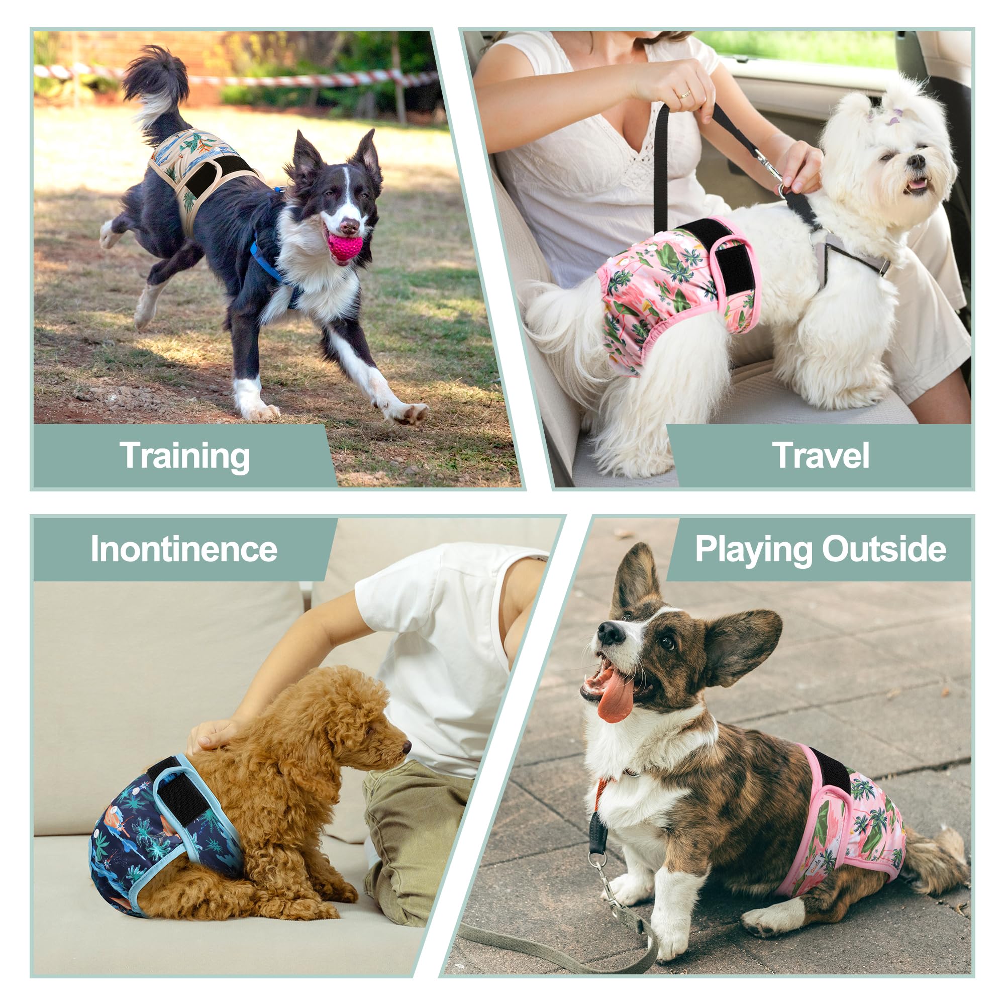 Grecle female dog diapers in heat fit image illustrates comfort during heat and gentle support.